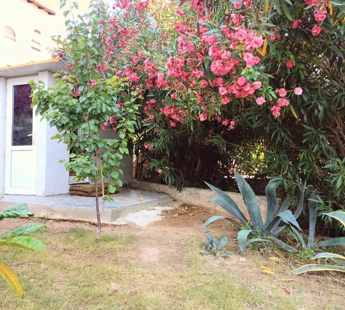 Villa With Private Pool And Unique Sea View In Çeşme 0*,  土耳其